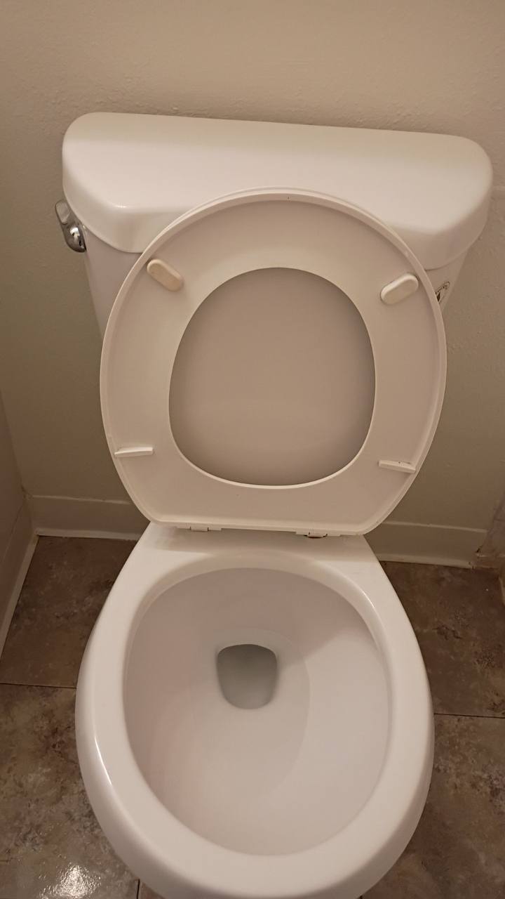 Spotless toilet deep clean